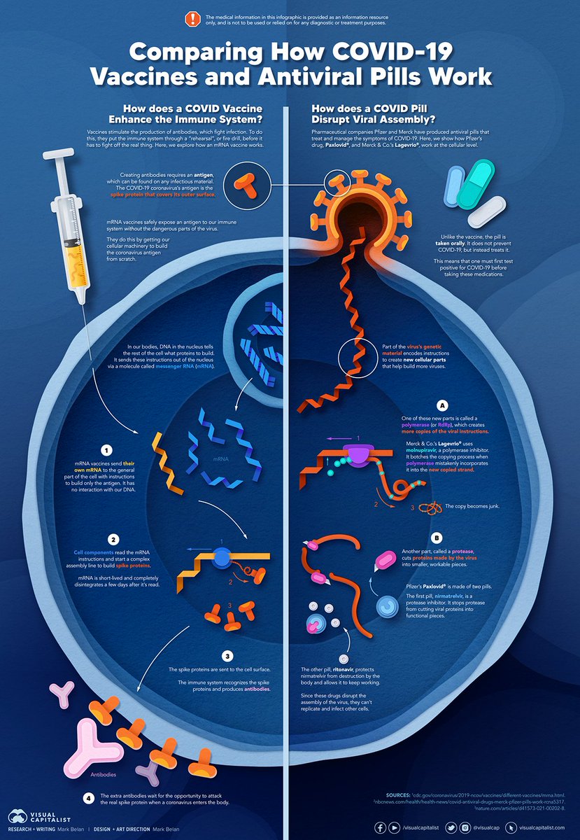 markabelan's tweet photo. 👋Hello, hello #artistsontwitter! I am a scientific illustrator, making graphics that range from popular science to academic publications and everything in between! I love telling science stories with the power of visuals! https://t.co/Q7fctXldaz