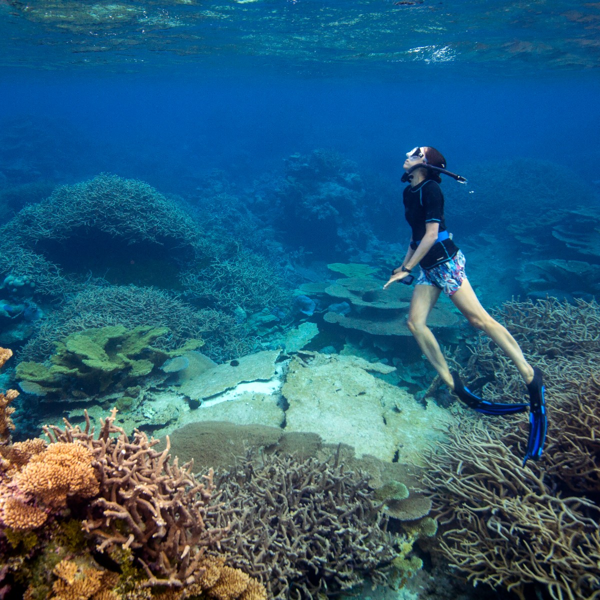 AdventureAqua's tweet photo. Journey to a faraway island wilderness lost in time… 🌊

Come experience our newest movie at the 3D Theater - "Hidden Pacific"!

#hiddenpacific #allmonumentsforall

📸:  @ianshivephoto https://t.co/28hg10yMgD