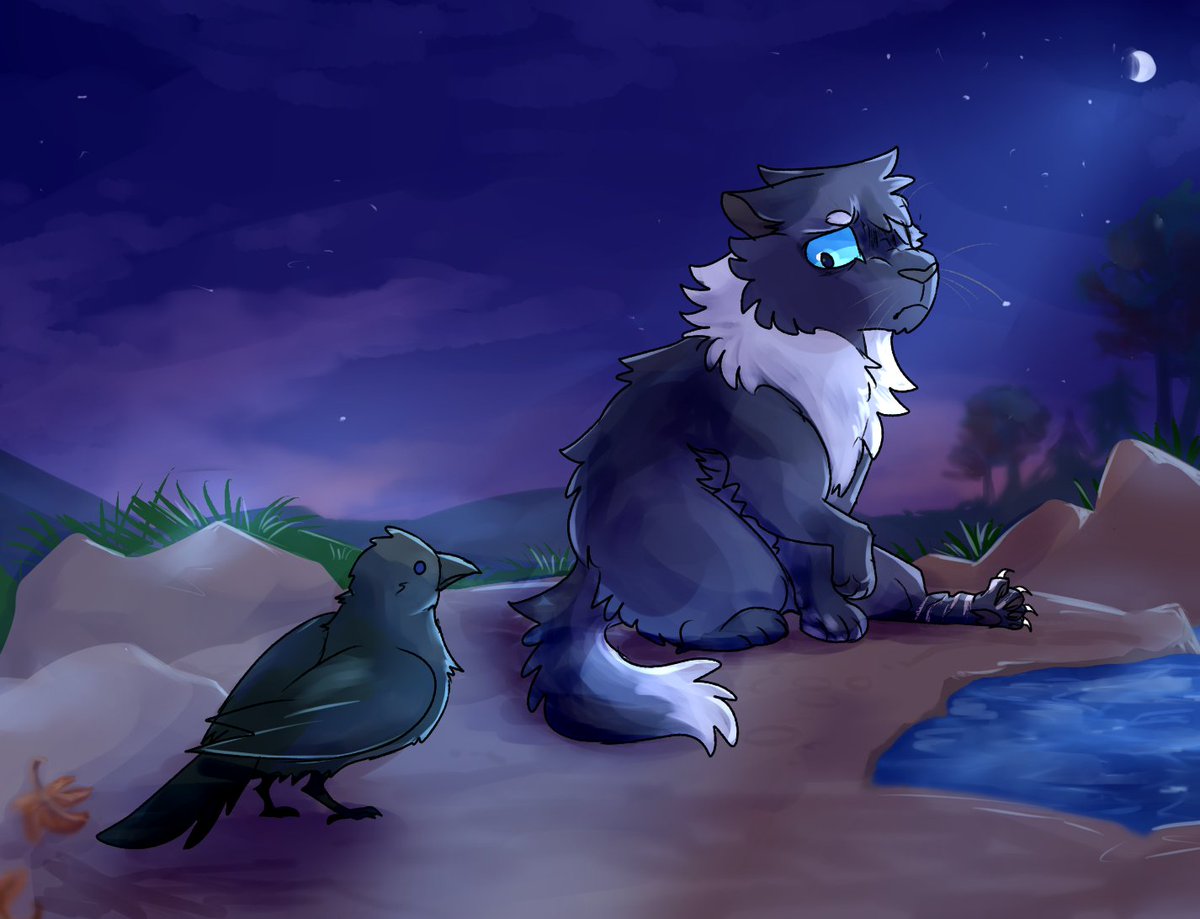 rioblitzle / COMMS OPEN! on X: hit random on the warrior cats