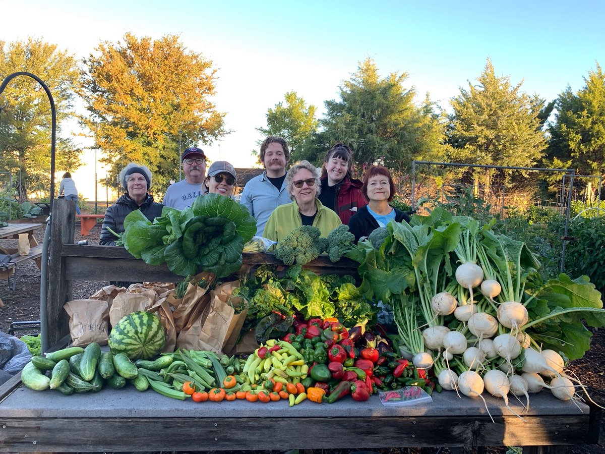 MetrocrestHelps's tweet photo. 👏Please join us in thanking The Giving Garden of Carrollton for sharing their bountiful 🍎harvest. With your help, we’re building (and growing) a stronger community together!
#metrocresthelps #strongertogether #communitygardens https://t.co/ylATtXCMUB