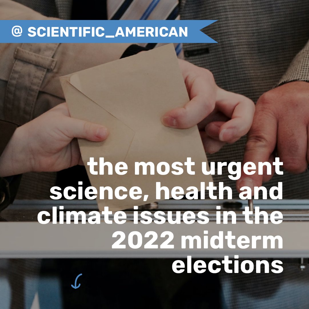 Ecochallenge.org tweet media