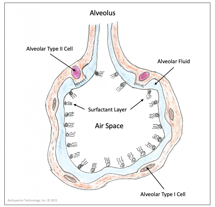 BioSuperiorTech tweet picture