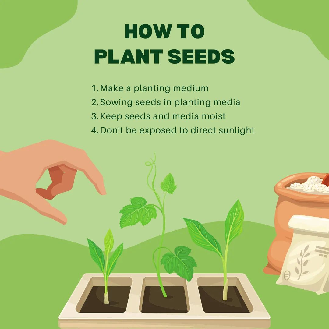 BeyondTreesNet's tweet photo. While you can purchase mature plants from a nursery it can be both rewarding and enjoyable to grow plants from seed.Starting from seed gives you a wider array of plants to choose from than you get at a nursery,and it allows you to witness your plants transformation into maturity https://t.co/X9MhXfFyqs