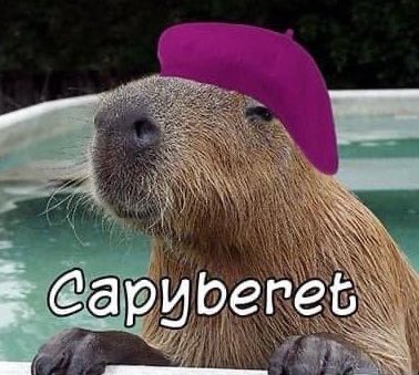 CAPYBARA MAN tweet media