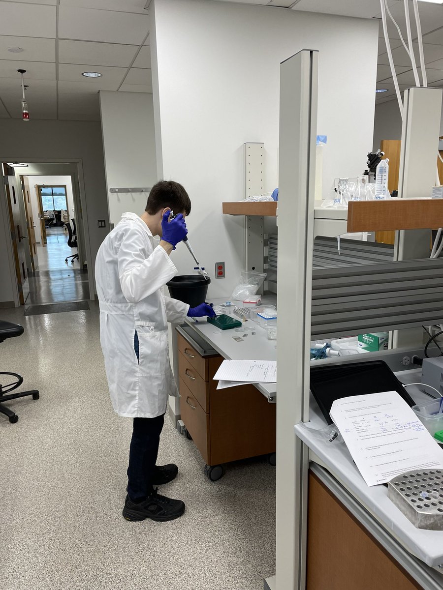 Planaria1's tweet photo. Day 2 of our @NSF Edge-funded planarian transgenesis workshop brings in house synthesized luminescence to planarian cells and animals

@ScienceStowers @Stanford https://t.co/Fe58sNuBEG
