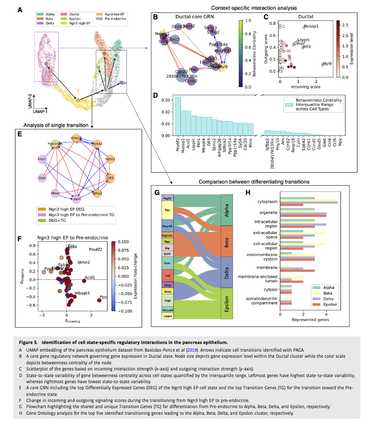 BioDecoded's tweet photo. spliceJAC: transition genes and state-specific gene regulation from single-cell transcriptome data | Molecular Systems Biology
https://t.co/BAVnvtubpo

#Bioinformatics https://t.co/Ug2BkSaLx6