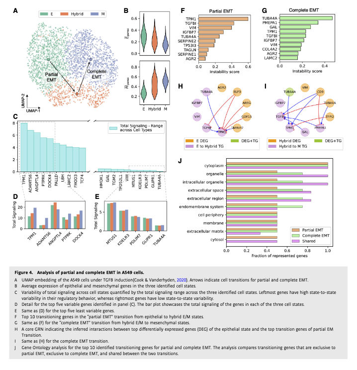 BioDecoded's tweet photo. spliceJAC: transition genes and state-specific gene regulation from single-cell transcriptome data | Molecular Systems Biology
https://t.co/BAVnvtubpo

#Bioinformatics https://t.co/Ug2BkSaLx6