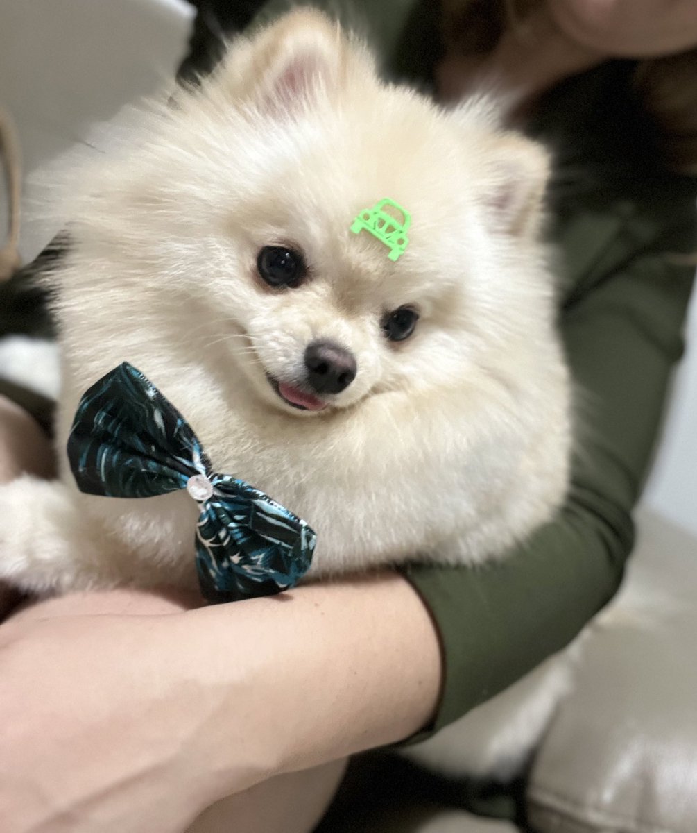 TalitaBriamonte's tweet image. #splitz