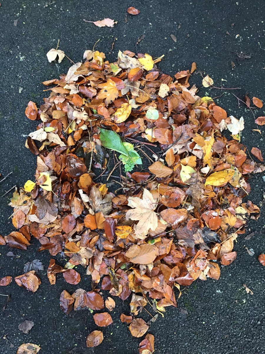 devjun9's tweet image. Last week, Class 2 loved creating their own outdoor art inspired by Andy Goldsworthy 🍁🌿 @DevonshireJun @MissKMack89 #CelebrateArtsmark