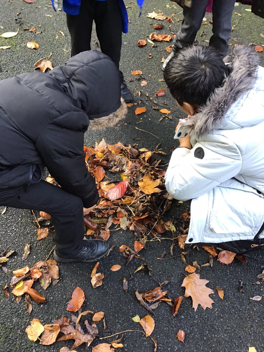 Joanne Williamson (@devjun9) on Twitter photo Last week, Class 2 loved creating their own outdoor art inspired by Andy Goldsworthy 🍁🌿 <a href="/DevonshireJun/">Devonshire Junior</a> <a href="/MissKMack89/">Miss McKenzie</a> #CelebrateArtsmark Last week, Class 2 loved creating their own outdoor art inspired by Andy Goldsworthy 🍁🌿 <a href="/DevonshireJun/">Devonshire Junior</a> <a href="/MissKMack89/">Miss McKenzie</a> #CelebrateArtsmark