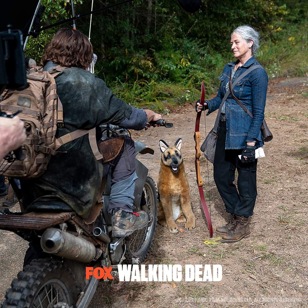 RoodJood's tweet photo. @angelakang Let's not forget Stunt Dog! #TheWalkingDead #TWDbts #TWDFamily https://t.co/HOSWvxrYl8