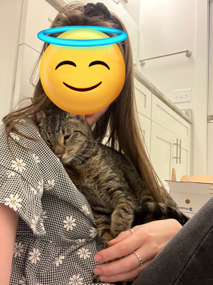 Attention Tennessee area friends!! Our friend who adopted one of the kittens (miso) has brought in a friendly stray but can’t keep him! We are trying to find him a home!! He is about 1 year old, neutered, and FELV/FIV neg. Please help us find him a home!!! THREAD