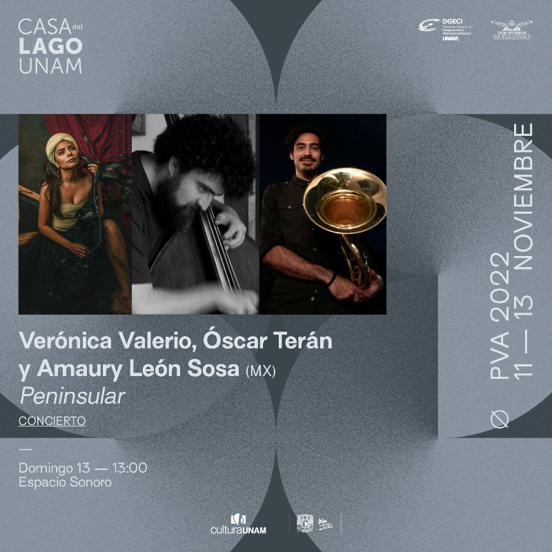 .<a href="/veronicarpayvoz/">Veronica Valerio</a> + Óscar Terán + Amaury León Sosa cantarán canciones para transportarnos al ambiente de la vida peninsular a través del arpa, el paisaje del sureste y la lírica poética.

🌴 Concierto #PVA2022: 13 nov. #EntradaLibre 🌴
+ info: casadellago.unam.mx/pva2022/
<a href="/dgeci/">DGECI - UNAM</a>