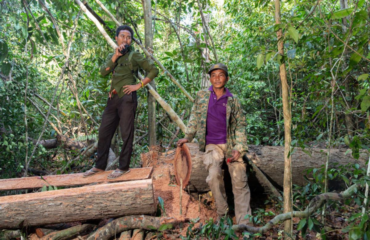 pulitzercenter's tweet photo. Did you know that over the last two decades, the Mekong region has lost 38,230 square kilometers of forests, and has one of the world’s highest rates of deforestation?
#ShowMeYourTree is a simple call to action to use social media to defend the environment. Learn more 🧵 https://t.co/mO23VpRg5B