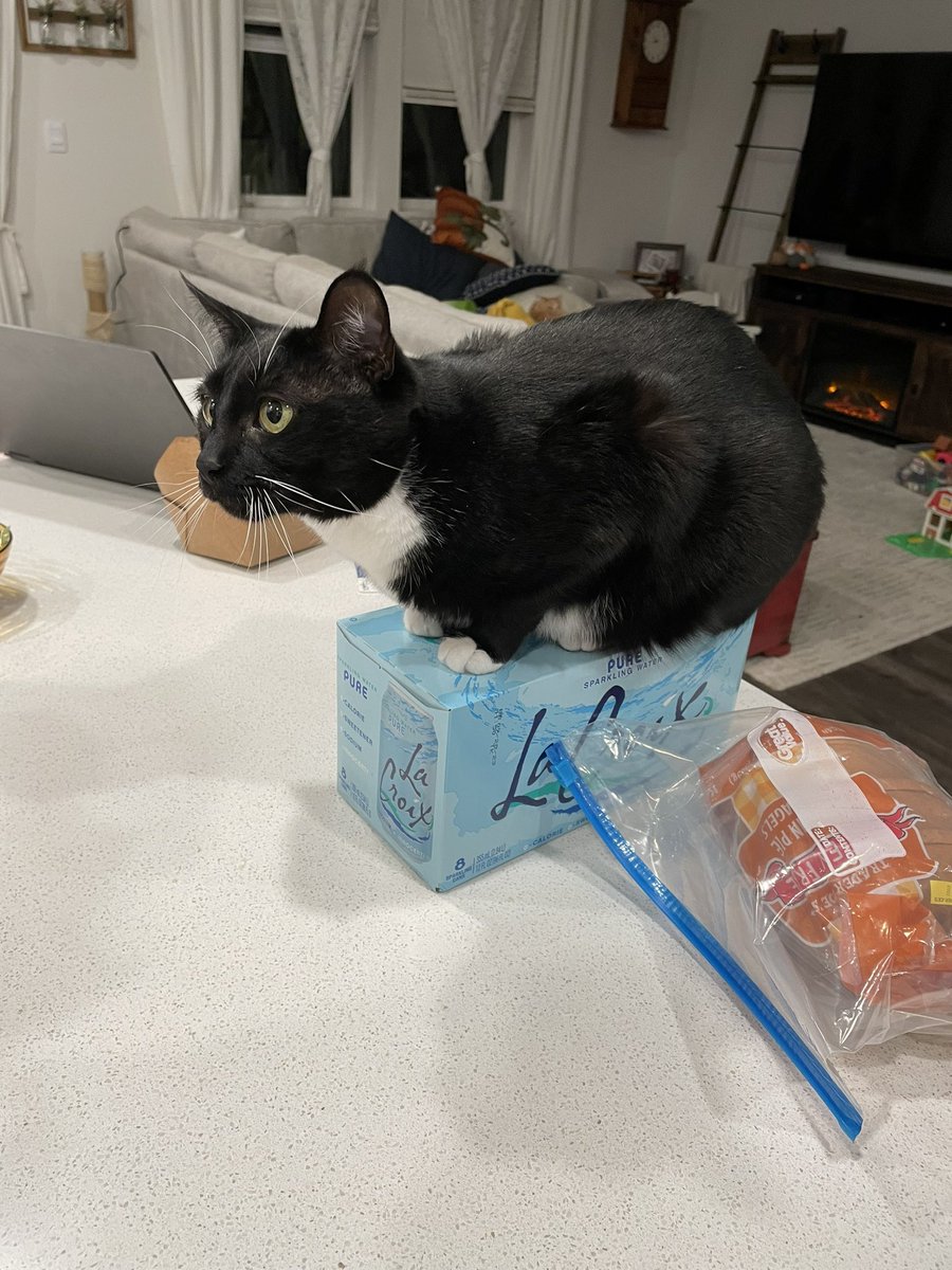 peachpitpal's tweet photo. y’all i- https://t.co/NOVD0QgYmM