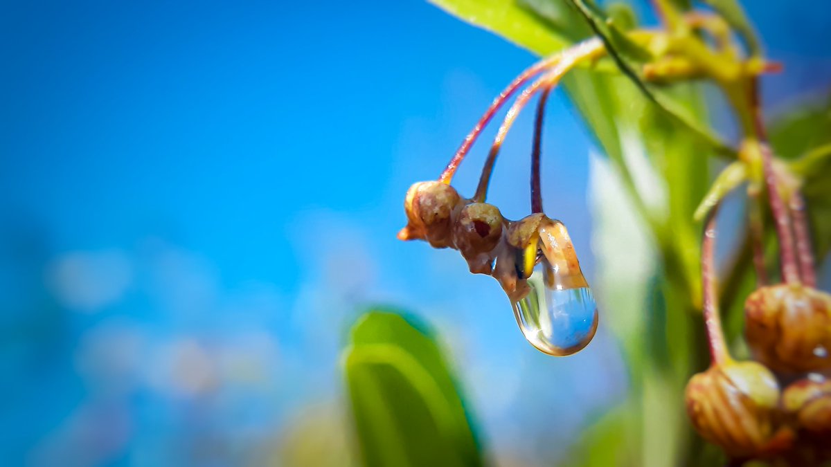 JitenderShine's tweet photo. Alamy image ID:
#Aviewthrough #AlamyPOTM @AlamyContent https://t.co/wvLityzqXn