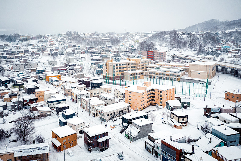 NancyJSaunders1's tweet image. 