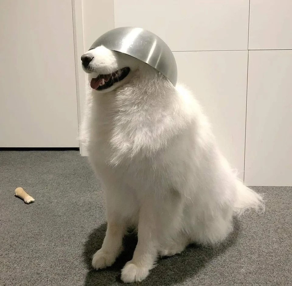 barb noren tweet media