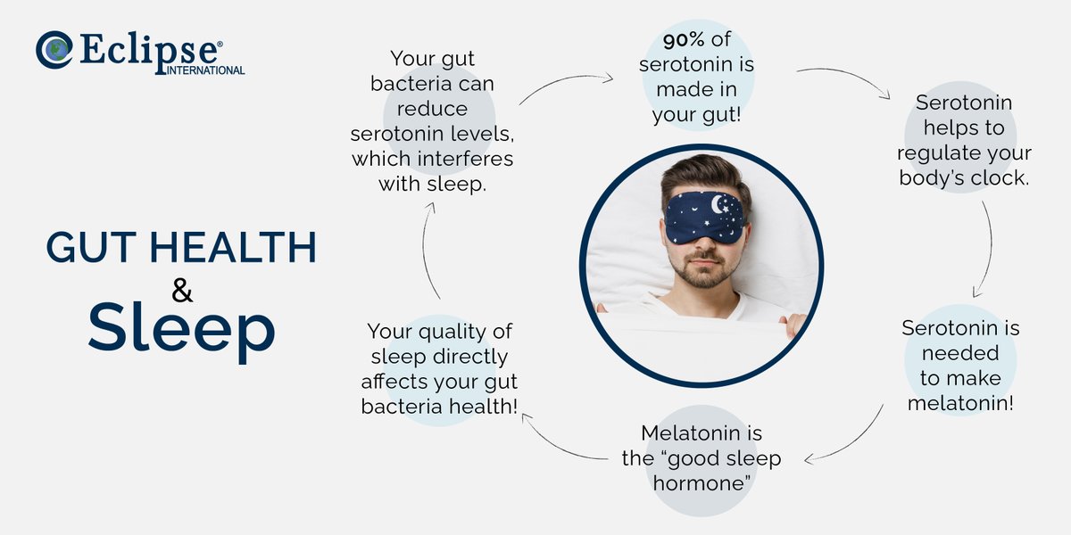 EclipseMattress's tweet photo. #Goodsleep begins in the gut!

Did you know there is a connection between the brain and the gut microbiome?

#EclipseInternationalIndia #EclipseMattress #GutHealth #GoodSleep #SleepResources #SleepInformation #SleepResearch #SleepHealth #SleepTechnology #SleepSolutions https://t.co/70Ee76kHOH