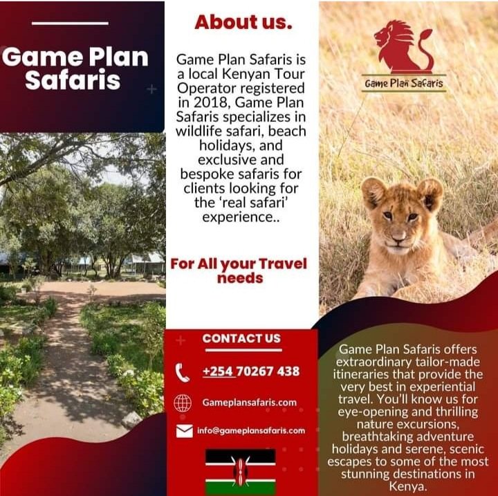We plan you enjoy, Game plan Safari is currently rising tobe one of the best tourist and travel agencies in the Kenyan Region. With their Excellent services, a fleet of tours and irresistible packages.
Call us at 0708267438 or email us at info@gameplansafaris.com to book a trip