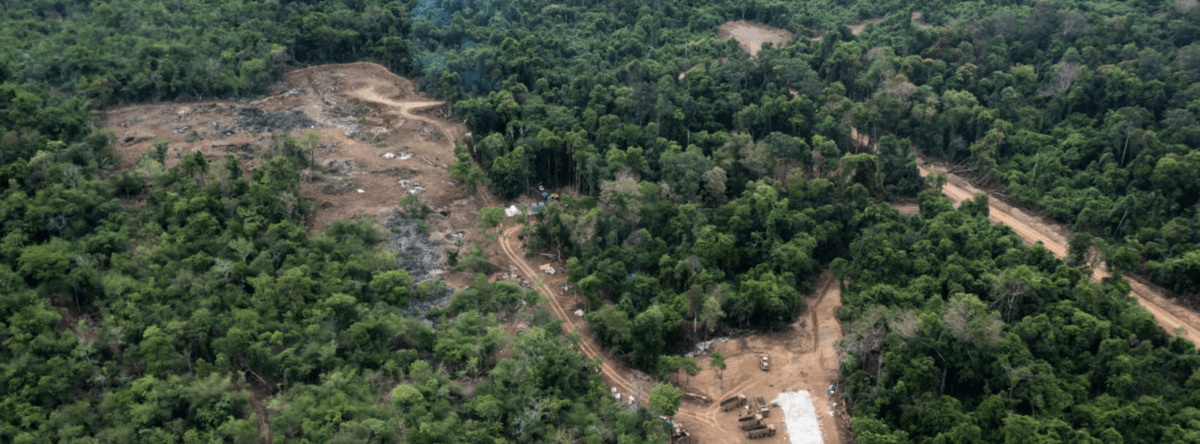 pulitzercenter's tweet photo. Did you know that over the last two decades, the Mekong region has lost 38,230 square kilometers of forests, and has one of the world’s highest rates of deforestation?
#ShowMeYourTree is a simple call to action to use social media to defend the environment. Learn more 🧵 https://t.co/mO23VpRg5B
