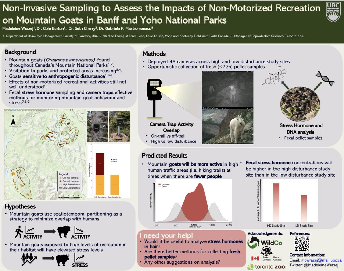 If you want to chat about mountain goats, camera traps and how hard it is to collect fresh goat pellet samples, come see my poster tomorrow at #TWS2022!