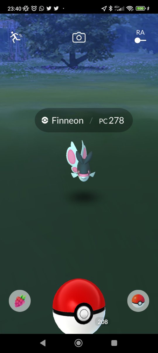 N4rutoD's tweet photo. No ha sido un mal día. Un #0iv y un #shinydarkpokemon https://t.co/rAIrqa8QzY