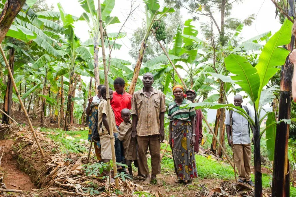 IFDC Burundi tweet media