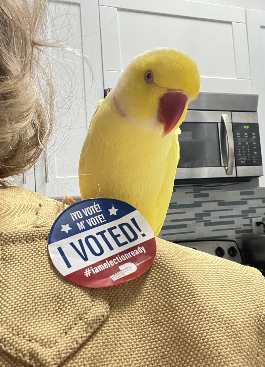 milenkat23's tweet photo. We #voted https://t.co/BDrOhd64gS