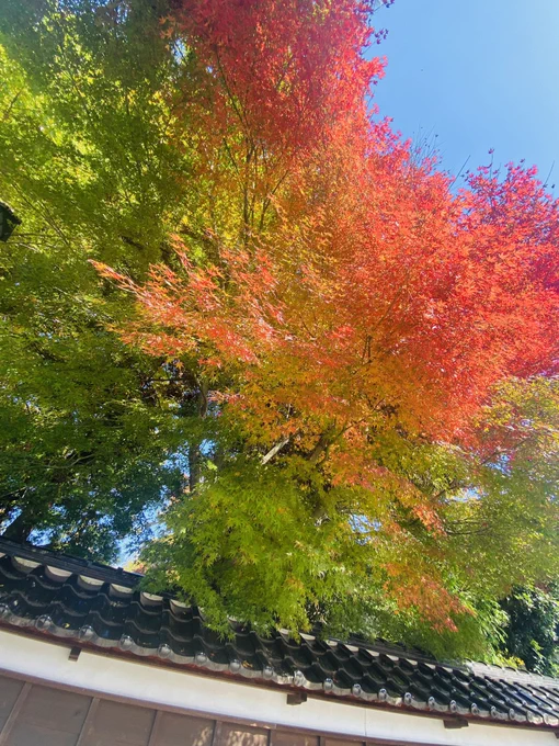 秋色を愛でる 