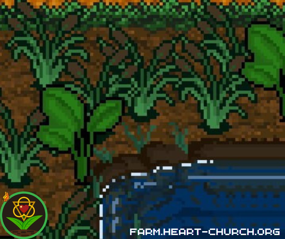 Heart Farms tweet media