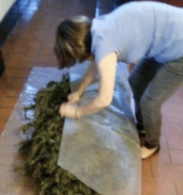 me rolling up before thanksgiving dinner😂