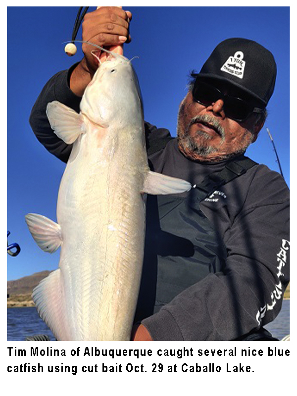 NM Game and Fish (NMDGF) / Twitter