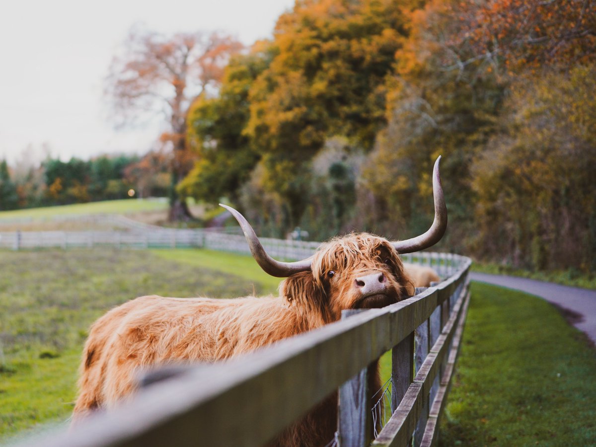 DeclanMalachy's tweet photo. Still Hungry and bored #wildlife https://t.co/stJIa4pSoB
