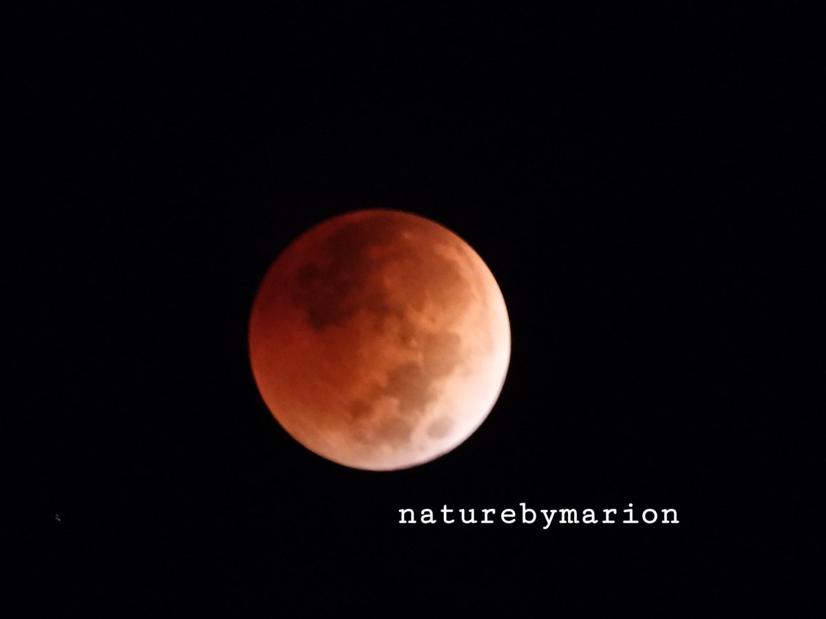 This morning from Florida 5:18am. Nikon Coolpix p1000 📷. #BloodMoon #LunarEclipse #Moonshot #EclipseLunar #Eclipse #Eclipse2022 #bloodmooneclipse #lunareclipse2022