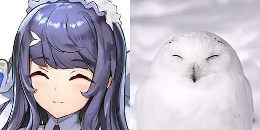 スノーフェザーちゃんの笑顔がシロフクロウすぎてずっと見てられる可愛い(かわいい) 