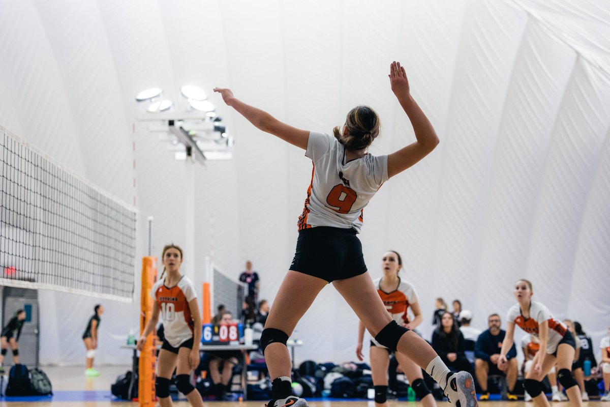 AHPS Gryphons tweet media