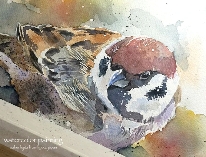 すずめ。#Watercolor #スケッチ #水彩画 #淡彩略画 #透明水彩 #京都水彩画塾  #水彩画ワークショップ  #水彩画教室  #京都の絵画教室 