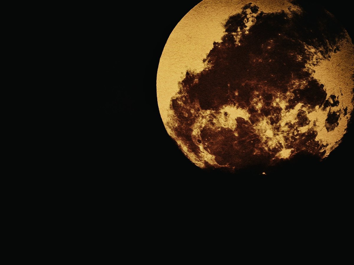 z4n4774's tweet photo. #nasaartemisprogram #nasaartemis #musk #ellonmusk #moon #moonphoto #moonart #nft #nftart #nftgallery https://t.co/ODgUaawGln