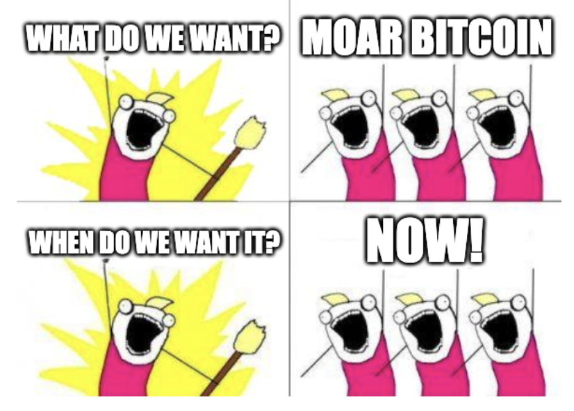 fold_app's tweet image. Giveaway Time!!

➕ $100 of #bitcoin to your stack for next week

QT or RT and drop a comment👇 to enter. What&apos;s your go-to BTC Storage option?

~4.5 BTC withdrawn and sent to 🤞 cold storage today

Free, every Tuesday.

No purch. nec. Void where proh. Must have fold account.
