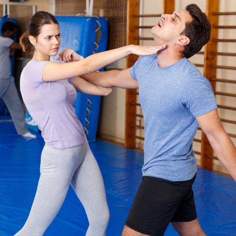 Alaric The Barbarian on Twitter "On Martial Arts and Gender Equality