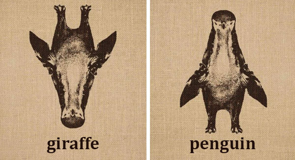 Evelyn Roy🌴 tweet media