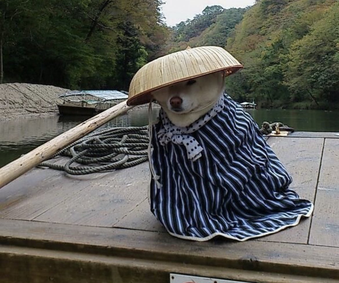 犬 (@not__dog__) / Posts / X