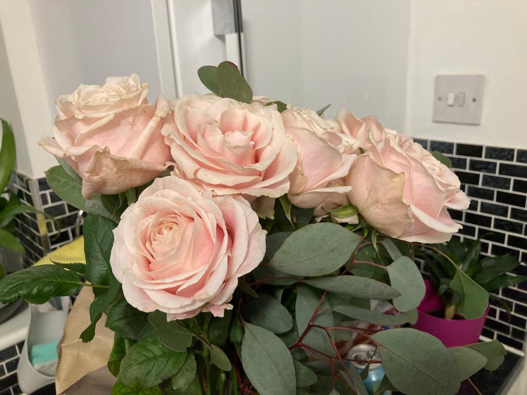 DomNairobi58's tweet photo. @marksandspencer Don’t be fooled by the M&amp;S picture.I shopped on line for their flowers and look what arrived today …nothing like the fancy picture on the website https://t.co/GIhxCXLQLH