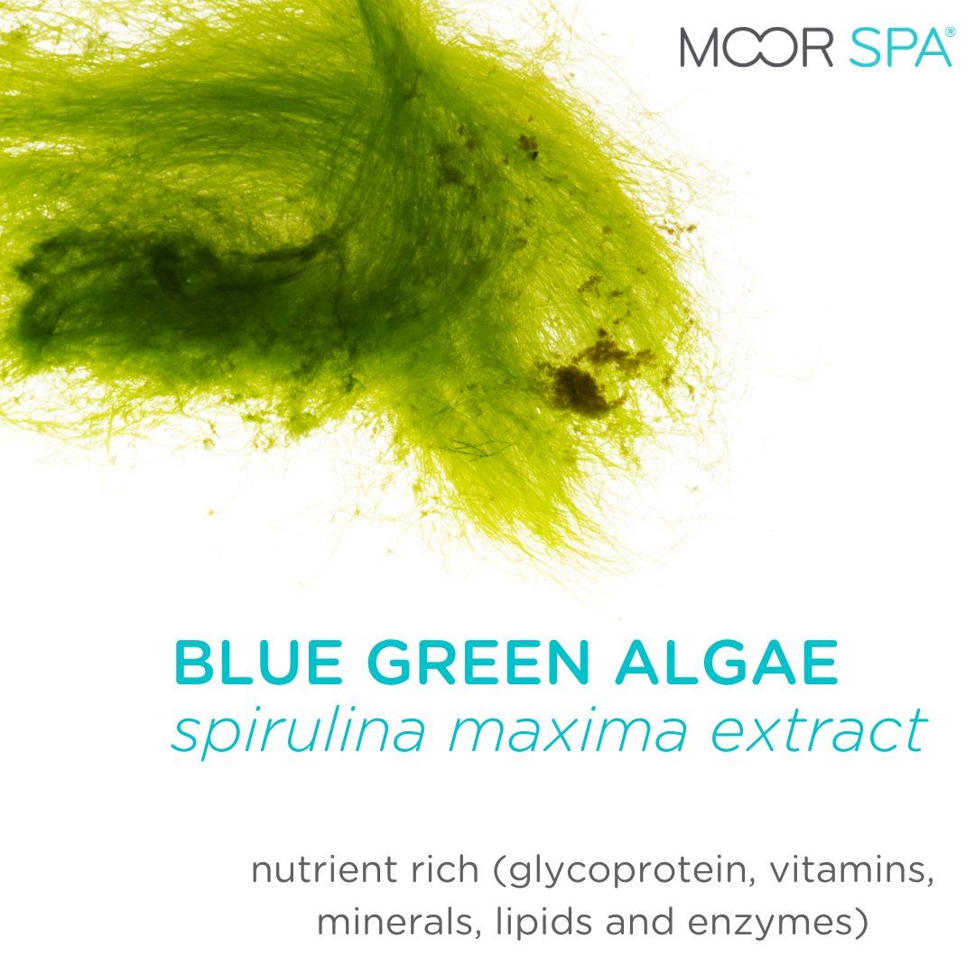 Moor Spa tweet media