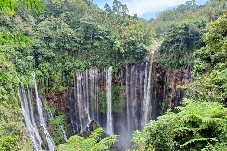 dhorocecep's tweet photo. Air terjun Tumpaksewu
#BupatiLumajangEksotik
#TPPJatim
#SunriseofJava
#14RobiulAkhir
@jokowi
@halimiskandarnu
@Ari_Asharie
@arifwijaksan4
@yenirisnawati1
@hariskunaifi
@WawanRescue https://t.co/xVddTo7Taq