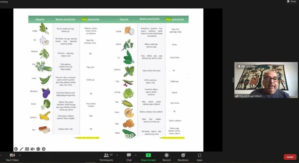 Corambiente tweet media