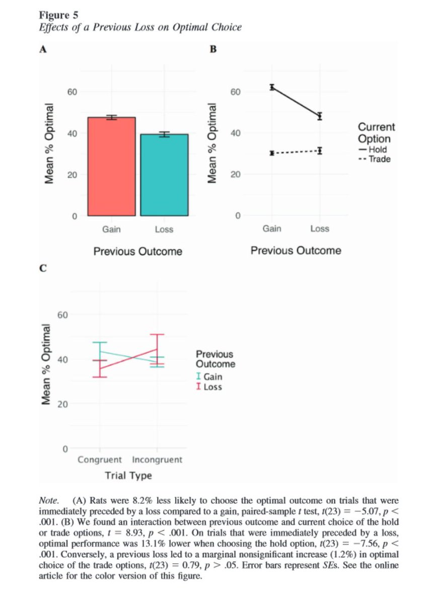 emollick's tweet image. We finally have taught rats capitalism!

And, fascinating, they behave a lot like humans in the stock market, displaying human investment biases including doubling down on losses &amp;amp; a tendency to avoid quickly realizing losses while rapidly realizing gains. psycnet.apa.org/record/2021-15…