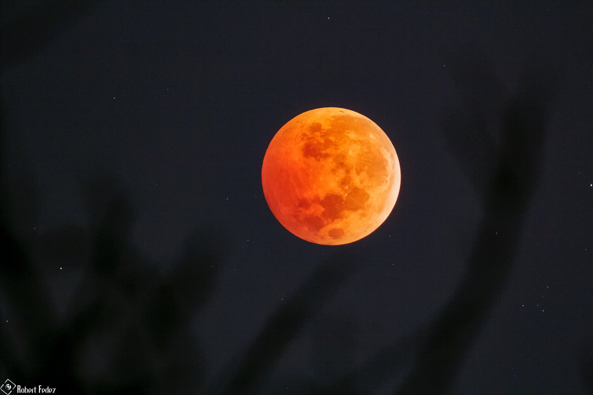 Eclipse Total de Luna
08 Noviembre 2022
Cerca de Cancún, Mx - Que Maravilla!!!
#MOON 
#LunarEclipse 
<a href="/webcamsdemexico/">Webcams de México</a> 
<a href="/PlanetarioCZM/">Planetario de Cozumel</a>
