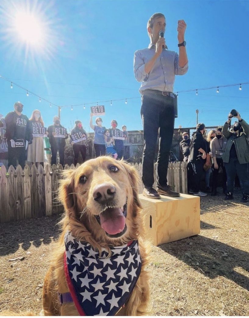 BetoMedia's tweet photo. I sure will be glad when he’s Governor.
#DogsForBeto
Please go vote today for #BetoForGovernor2022 https://t.co/Jlo6TQNSL0